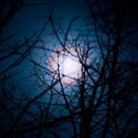 Moon